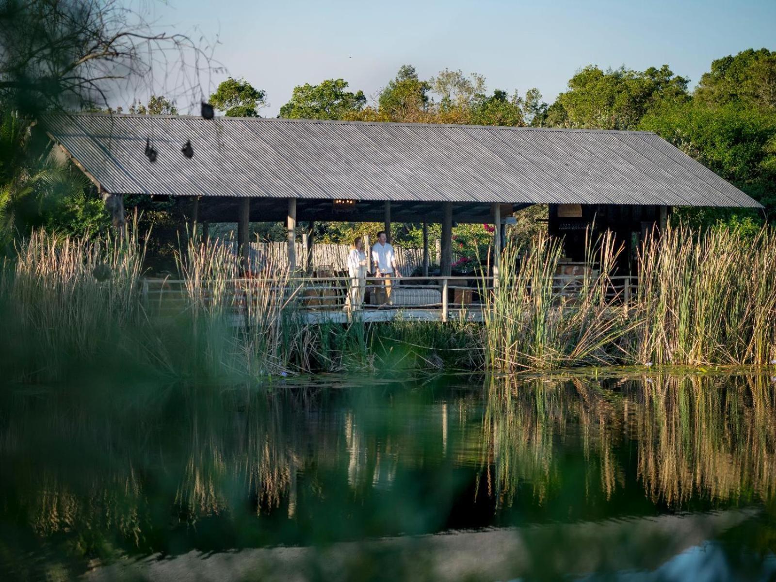Belle Balance Bush Lodge Plettenberg Bay Exterior foto